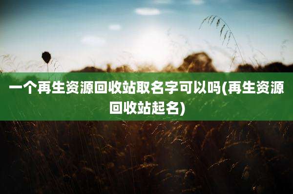 一个再生资源回收站取名字可以吗(再生资源回收站起名)