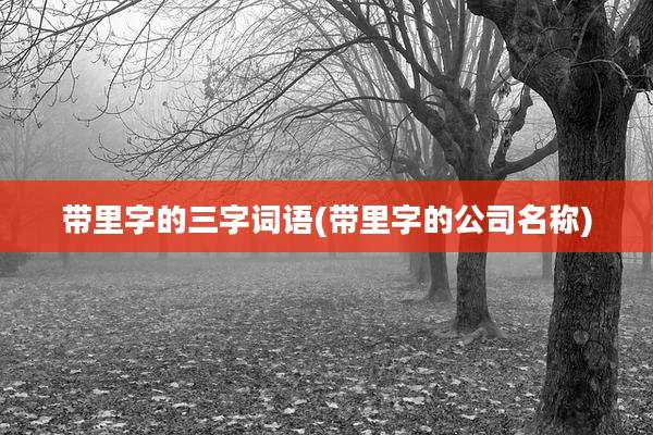 带里字的三字词语(带里字的公司名称)