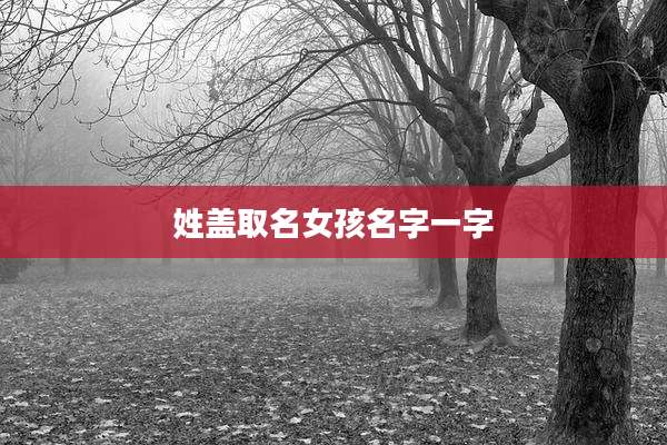 姓盖取名女孩名字一字