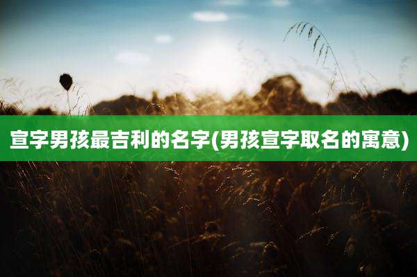 宣字男孩最吉利的名字(男孩宣字取名的寓意)