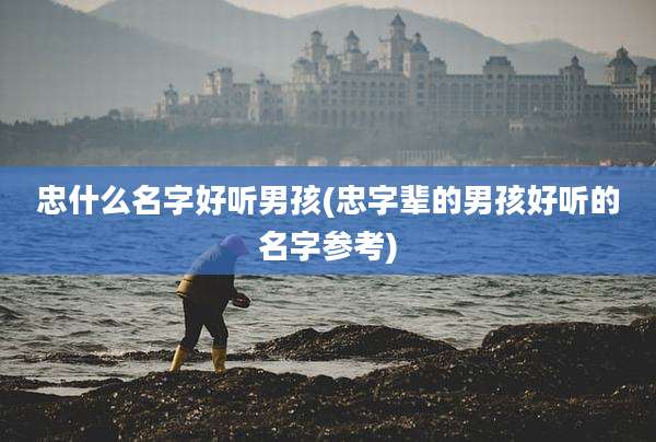 忠什么名字好听男孩(忠字辈的男孩好听的名字参考)