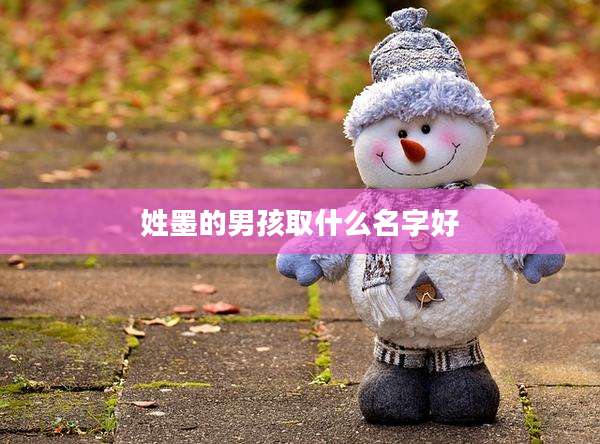 姓墨的男孩取什么名字好