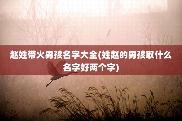 赵姓带火男孩名字大全(姓赵的男孩取什么名字好两个字)
