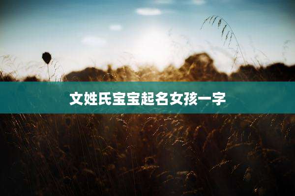 文姓氏宝宝起名女孩一字