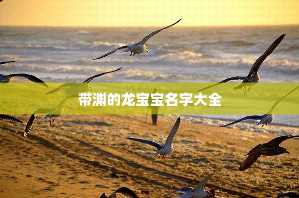 带渊的龙宝宝名字大全
