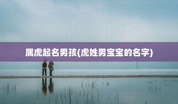 属虎起名男孩(虎姓男宝宝的名字)