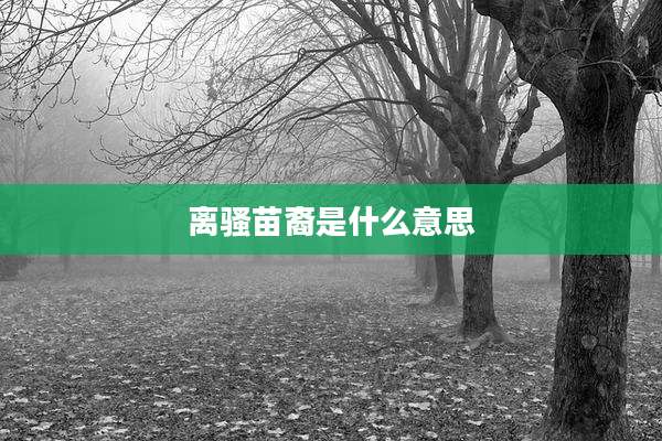 离骚苗裔是什么意思