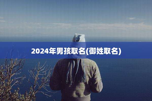 2024年男孩取名(御姓取名)