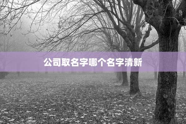 公司取名字哪个名字清新