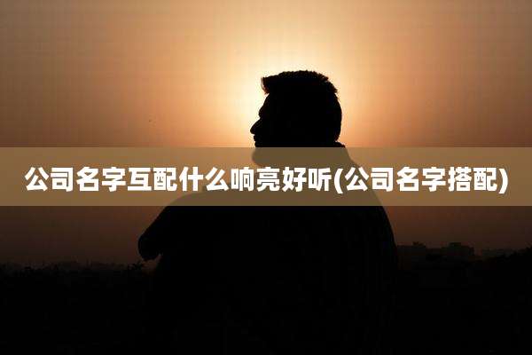 公司名字互配什么响亮好听(公司名字搭配)
