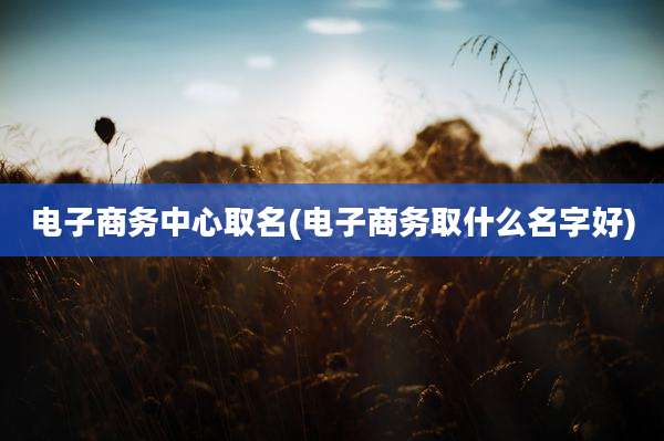 电子商务中心取名(电子商务取什么名字好)