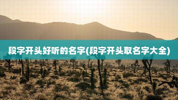 段字开头好听的名字(段字开头取名字大全)