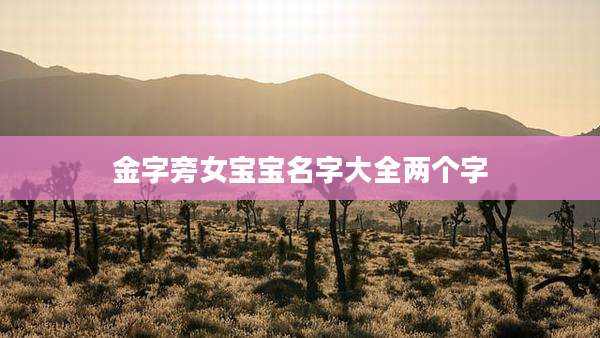 金字旁女宝宝名字大全两个字