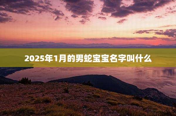 2025年1月的男蛇宝宝名字叫什么