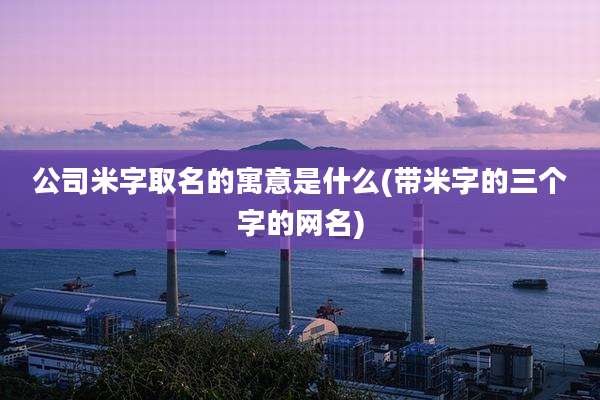 公司米字取名的寓意是什么(带米字的三个字的网名)