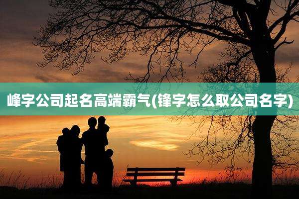 峰字公司起名高端霸气(锋字怎么取公司名字)