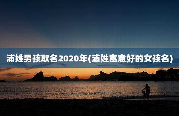 浦姓男孩取名2020年(浦姓寓意好的女孩名)