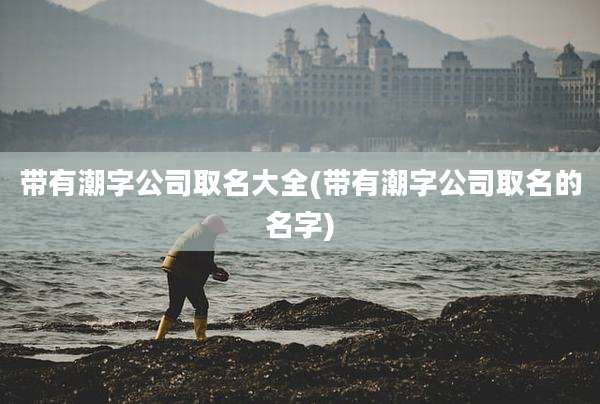 带有潮字公司取名大全(带有潮字公司取名的名字)