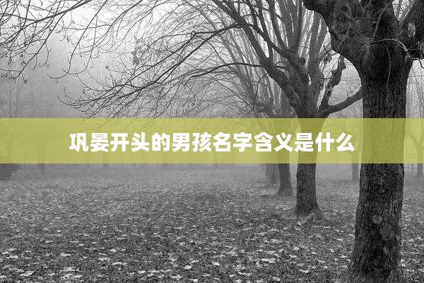巩晏开头的男孩名字含义是什么