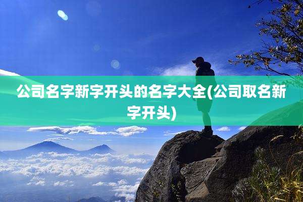 公司名字新字开头的名字大全(公司取名新字开头)