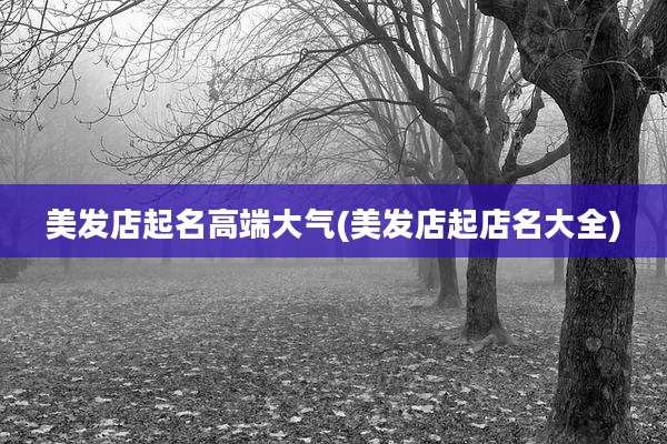 美发店起名高端大气(美发店起店名大全)