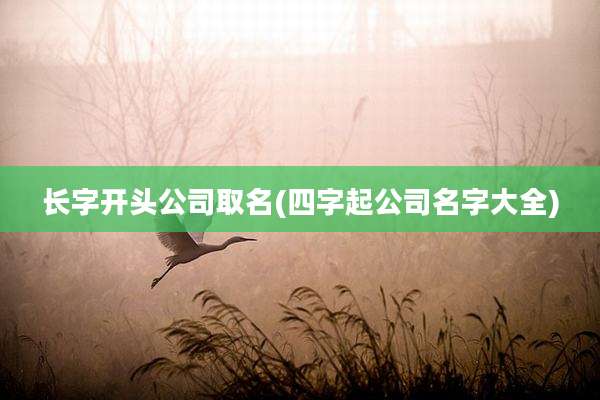 长字开头公司取名(四字起公司名字大全)