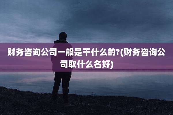 财务咨询公司一般是干什么的?(财务咨询公司取什么名好)