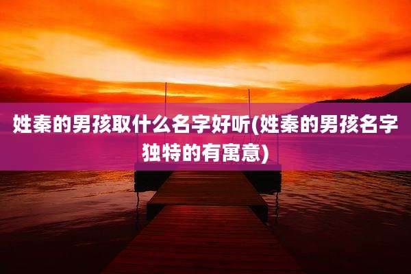 姓秦的男孩取什么名字好听(姓秦的男孩名字独特的有寓意)