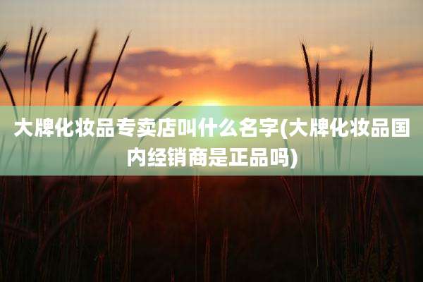 大牌化妆品专卖店叫什么名字(大牌化妆品国内经销商是正品吗)