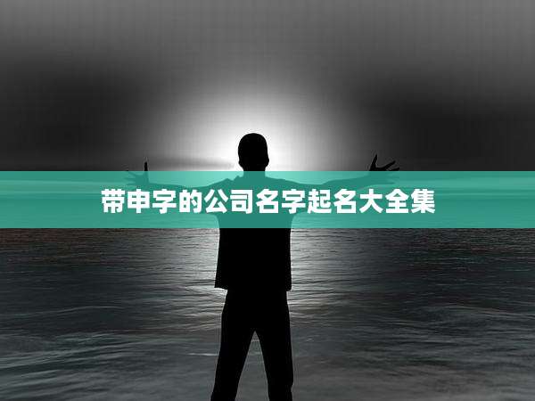 带申字的公司名字起名大全集