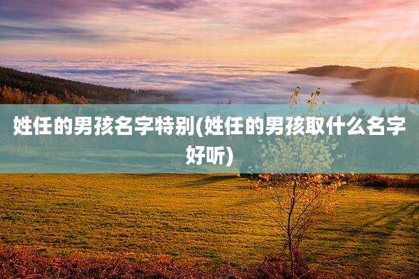 姓任的男孩名字特别(姓任的男孩取什么名字好听)