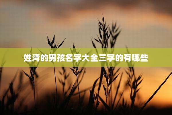 姓湾的男孩名字大全三字的有哪些