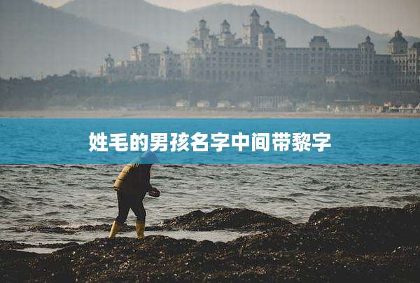 姓毛的男孩名字中间带黎字