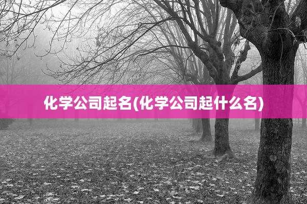 化学公司起名(化学公司起什么名)
