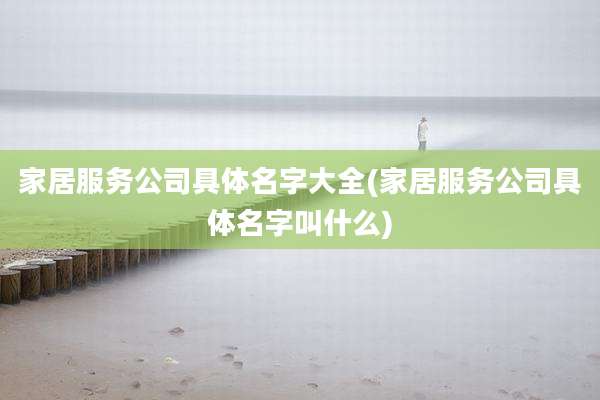 家居服务公司具体名字大全(家居服务公司具体名字叫什么)