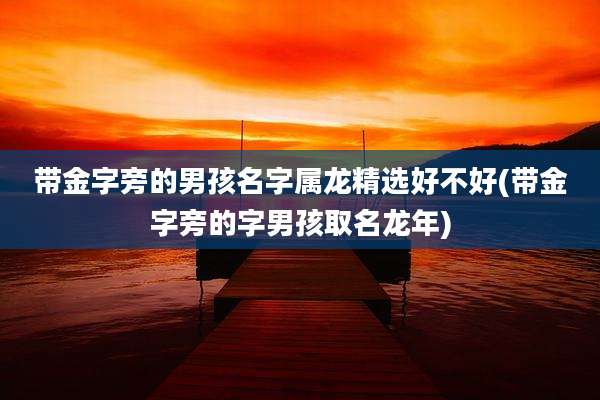 带金字旁的男孩名字属龙精选好不好(带金字旁的字男孩取名龙年)