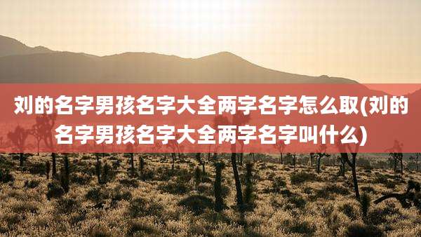 刘的名字男孩名字大全两字名字怎么取(刘的名字男孩名字大全两字名字叫什么)