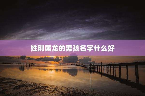 姓荆属龙的男孩名字什么好