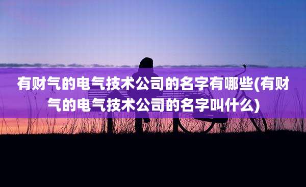 有财气的电气技术公司的名字有哪些(有财气的电气技术公司的名字叫什么)