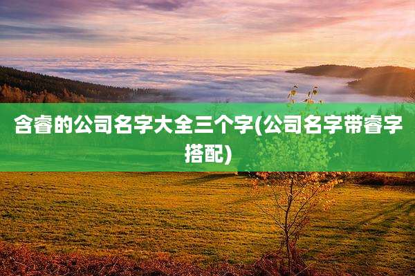 含睿的公司名字大全三个字(公司名字带睿字搭配)