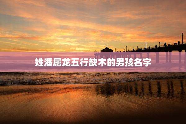 姓潘属龙五行缺木的男孩名字