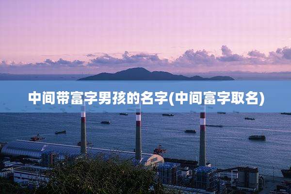 中间带富字男孩的名字(中间富字取名)