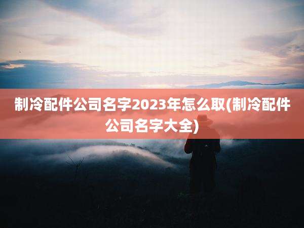 制冷配件公司名字2023年怎么取(制冷配件公司名字大全)
