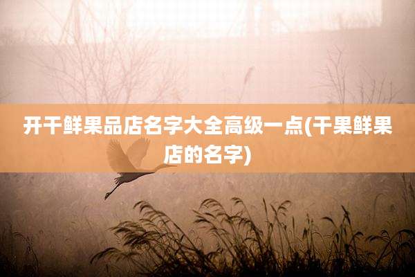开干鲜果品店名字大全高级一点(干果鲜果店的名字)