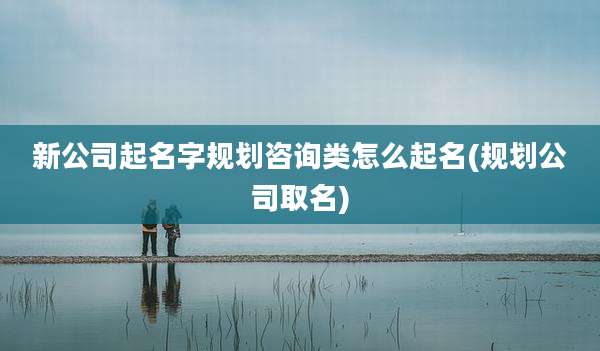 新公司起名字规划咨询类怎么起名(规划公司取名)