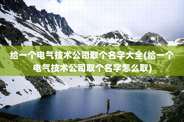 给一个电气技术公司取个名字大全(给一个电气技术公司取个名字怎么取)