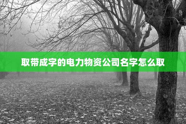 取带成字的电力物资公司名字怎么取