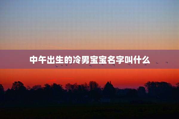 中午出生的冷男宝宝名字叫什么