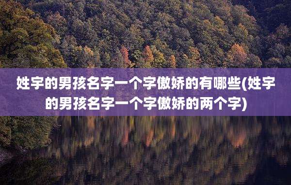 姓宇的男孩名字一个字傲娇的有哪些(姓宇的男孩名字一个字傲娇的两个字)