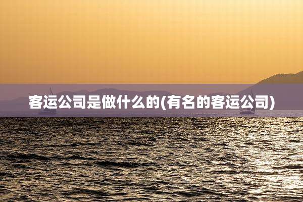 客运公司是做什么的(有名的客运公司)